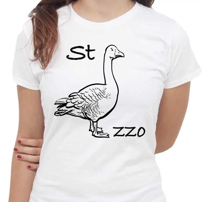 Summer Clothing Images - Camiseta IMage Goose Rebus, camiseta divertida,
