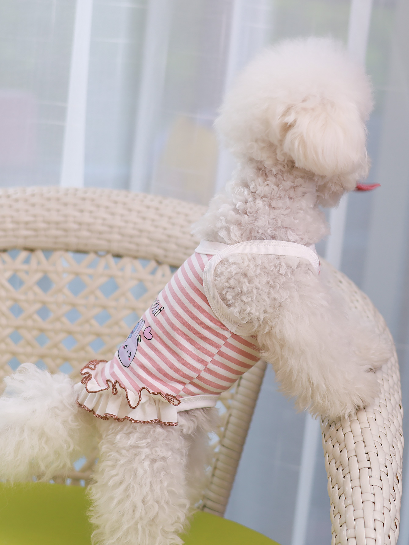 Chaleco para perros, ropa para - Summer Clothing Material reseña y precio
