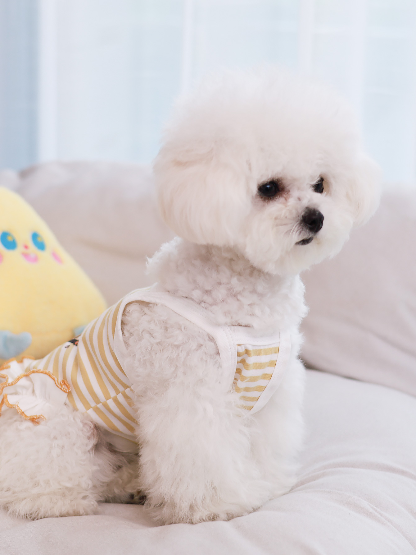 Chaleco para perros, ropa para - Summer Clothing Material reseña y precio